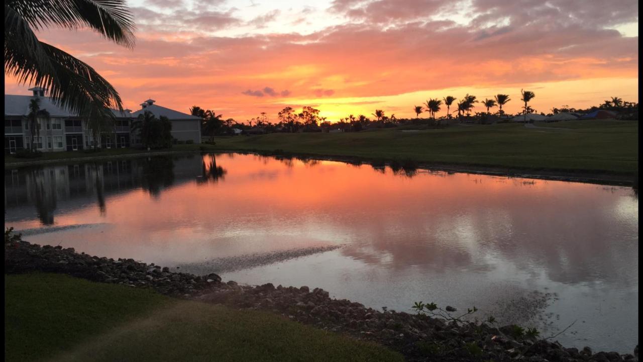 Greenlinks At Lely Luxury Purple Orchid Fully Renovated Modern 1St Floor 3Bdr Golf Resort Villa North North Naples Exterior foto